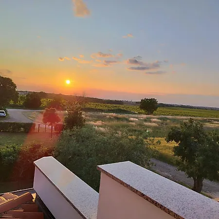 Nika's Sea View Oasis